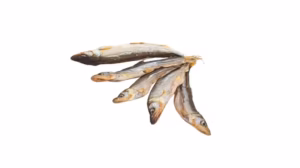 Thưởng thức cá mòi khô cùng bánh mì đen và bơ Nga