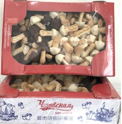 Bánh quy nấm socola Nga